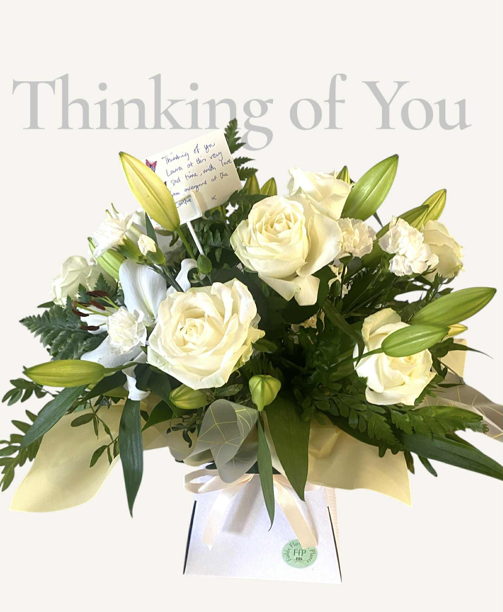 43819485 0004 4B9D A3EC 4B2AA8B39776