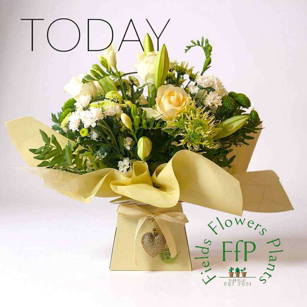 C2098B19 20DA 47B4 A8D4 A7FCAB0BE0A3